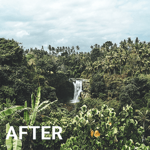 Paradise Lightroom Presets