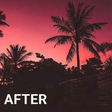Paradise Lightroom Presets