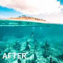 Paradise Lightroom Presets