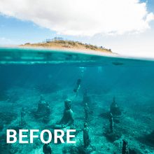 Paradise Lightroom Presets